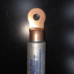 300a